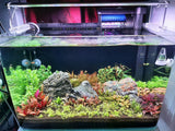 WEEK AQUA V300 Series WRGB Full spectrum planted aquarium light
