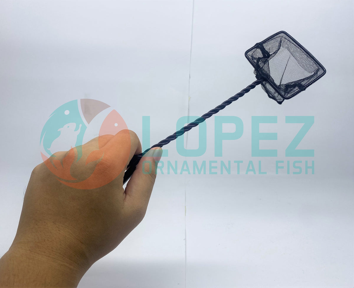 Local Fish Net – Lopez Ornamental Fish
