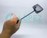 Local Fish Net