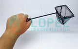 Local Fish Net