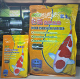Koi King Color