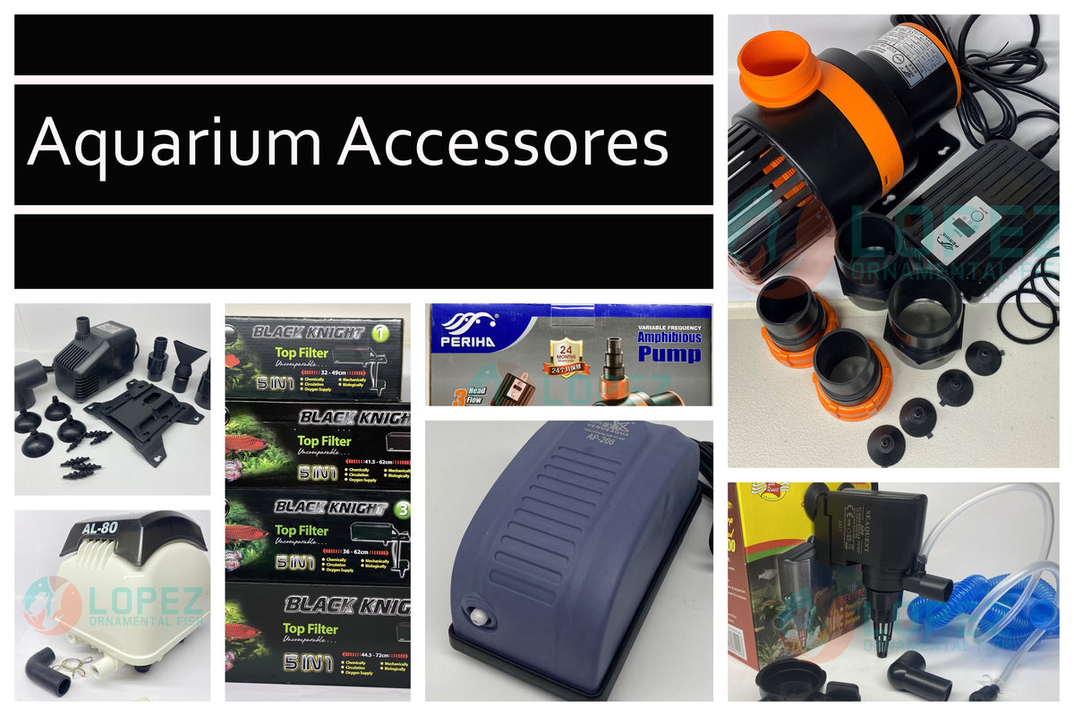 Photo inspiration: Fresh Look at Aquarium And Pond Accessories