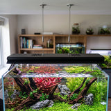 WEEK AQUA P120 PRO Series RGB-UV Full spectrum App control planted aquarium light 120cm