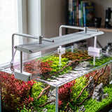 WEEK AQUA V600D Series WRGB Full spectrum planted aquarium light