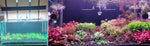 WEEK AQUA P900 PRO Series RGB-UV Full spectrum App control planted aquarium light 60cm