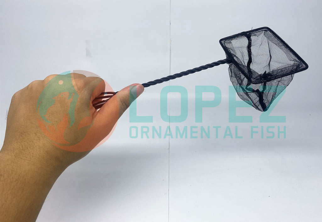 Local Fish Net – Lopez Ornamental Fish